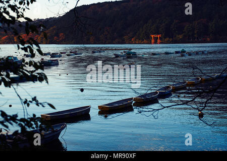 Hakone Shrine Torii Gate on Lake Ashi Stock Photo