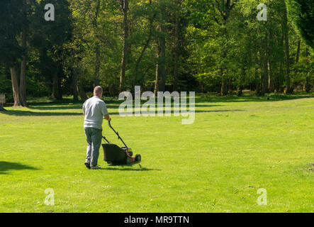 Man mowing a large lawn with trees in background Stock Photo