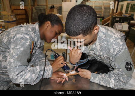 Spc. Mychaela Smith from the 169th Veterinary Detachment in Fort Gordon, Ga. and Spc. Michael Maldonado from the 399th Combat Support Hospital in Devens Reserve Forces Training Area, Mass. prepare a puppy for surgery during Appalachia IRT 2017 which took place from May 14-27 at the Wise County Fairgrounds in Wise, Va. Stock Photo