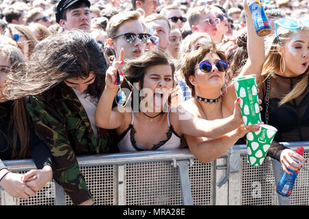 A rocker girl posing for the camera, with her tongue sticking out, in the front row at a music festival. Stock Photo