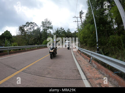 Man drive bike scooter on the road with palms in Thailand Stock Photo