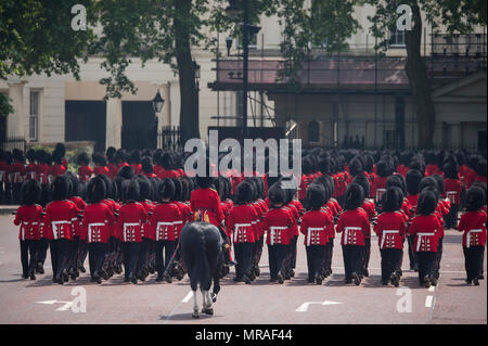 The Mall, London, UK. 26 May, 2018. Major General’s Review is held in sweltering heat, the penultimate rehearsal for the Queen’s Birthday Parade, also known as Trooping the Colour. 1400 soldiers from the Household Division and the King’s Troop Royal Horse Artillery take part in this full scale rehearsal. Foot Guards returning to Wellington Barracks after the parade. Credit: Malcolm Park/Alamy Live News. Stock Photo