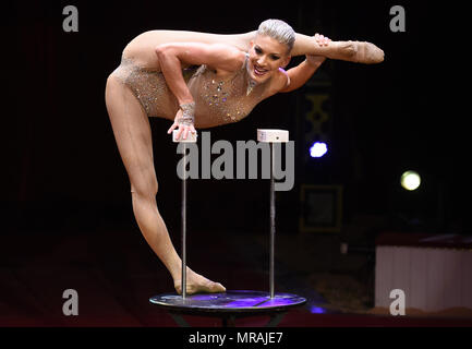 25 May 2018, Germany, Duesseldorf: The acrobat Quincy Azzario performing in the evening of the premiere of the 'Circus Roncalli' at the Rheinpark under the headline 'Storyteller: Yesterday-Today-Tomorrow'. Clowns, magicians and performers will be able to enthrall circus lovers from 25 May until 24 July 2018. However, animals such as horses, elephants and fish will only participate as holograms. Photo: Horst Ossinger//dpa Stock Photo