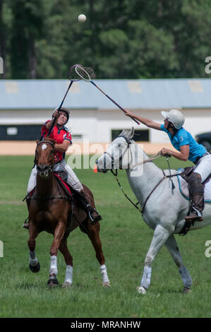 Pinehurst, North Carolina, USA. 26th May, 2018. May 26, 2018 - Pinehurst, N.C., USA - Megan Waggener, from Pulaski, Tennessee, (1), and Emma Hall, Johannesburg, South Africa, look up to control the ball during an exhibition match between the American Polocrosse Association World Cup team and visiting teams from South Africa, at the Pinehurst Harness Track, Pinehurst, N.C. The American team will be competing in the 2019 Polocrosse World Cup in Queensland, Australia, April 22-28. Credit: Timothy L. Hale/ZUMA Wire/Alamy Live News Stock Photo