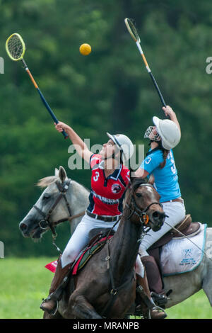 Pinehurst, North Carolina, USA. 26th May, 2018. May 26, 2018 - Pinehurst, N.C., USA - Kat Liner, from Whispering Pines, North Carolina, left, and Emma Hall, Johannesburg, South Africa, in action during an exhibition match between the American Polocrosse Association World Cup team and visiting teams from South Africa, at the Pinehurst Harness Track, Pinehurst, N.C. The American team will be competing in the 2019 Polocrosse World Cup in Queensland, Australia, April 22-28. Credit: Timothy L. Hale/ZUMA Wire/Alamy Live News Stock Photo