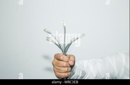 Computer cables in hand on white background Stock Photo