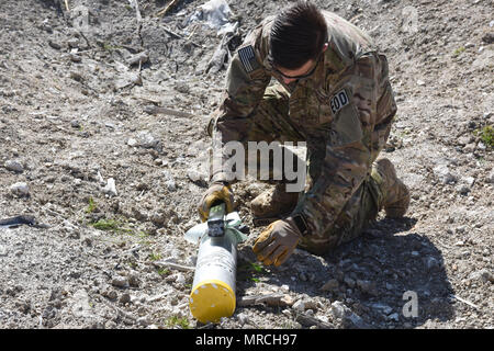 Explosive ordnance disposal jobs california