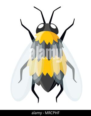 Illustration of bee. Honey flying bee. Cute character design in cartoon style. Vector illustration isolated on white background. Stock Vector