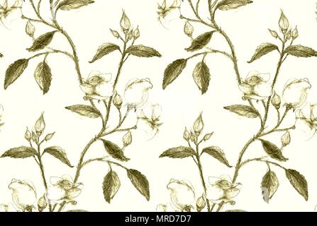 Seamless pattern made of pencil sketched rose branch Stock Vector