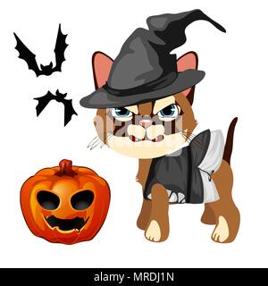 Angry cat in the hat witch bares his sharp teeth. Pumpkin with carved eyes and mouth, bats. The set of attributes of the holiday Halloween. Vector illustration. Stock Vector