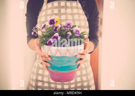 woman hands taking a vas of violet flowers at home. Clothes for home work. Pastel tones and backlight for a bright scene Stock Photo