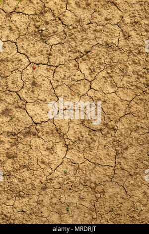 Brown cracked soil texture Stock Photo