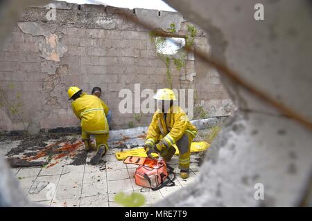 Fire officers from the Bridgetown Fire Department assess and assist a volunteer actor during a mass casualty drill at the site of the former Glendairy Prison. The scenario was based on the idea that an earthquake caused a hotel to collapse and local emergency services and Barbados Defence Force (BDF) personnel were working together to rescue and treat survivors. Tradewinds 2017 Regional Observer and Assessment Team (ROAT) members from multiple countries watched the exercise to take notes and create an assessment for Barbadian officials. The report will contain ideas of ways emergency services  Stock Photo