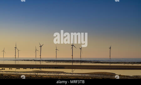 Windfarm on Redcar coastline. Sunets and low tide. Stock Photo