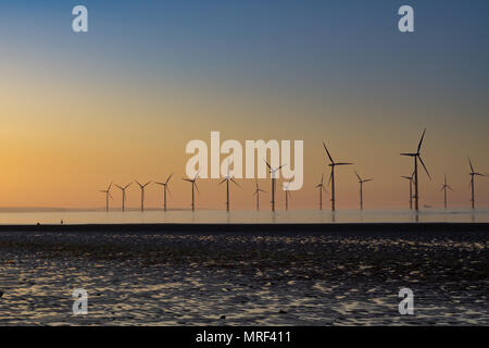 Windfarm on Redcar coastline. Sunets and low tide. Stock Photo