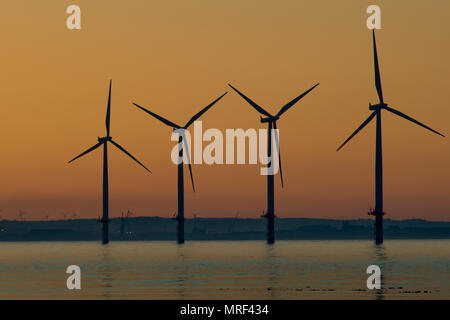 Windfarm on Redcar coastline. Sunets and low tide. Stock Photo