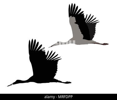 Silhouette of flying stork, isolated on white background - vector Stock Vector