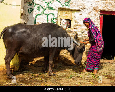 Indian womans at their daily routine at remote Sanouli Village, where Jim Corbett shot the Panar maneating leopard, Kumaon Hills, Uttarakhand, India Stock Photo