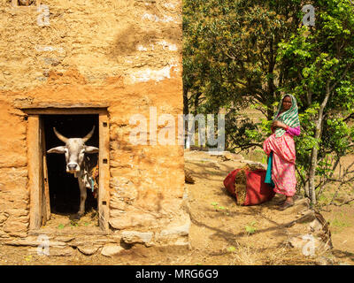 Indian womans at their daily routine at remote Sanouli Village, where Jim Corbett shot the Panar maneating leopard, Kumaon Hills, Uttarakhand, India Stock Photo