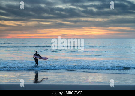 A longboard surfer walks into the ocean in Manhattan Beach, California on a cloudy day, ready to get a few waves before dark. Stock Photo