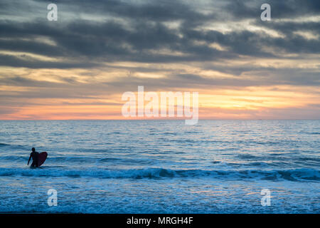 A longboard surfer walks into the ocean in Manhattan Beach, California on a cloudy day, ready to get a few waves before dark. Stock Photo