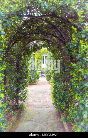 Archway leading to a secret hidden garden in Charleston, South Carolina USA