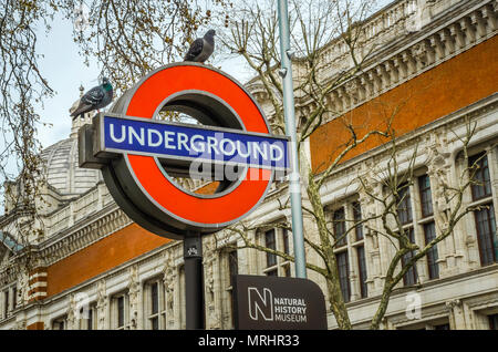 At the entrance of Natural History Museum, sign of underground train station, South Kensington, London, UK. Stock Photo