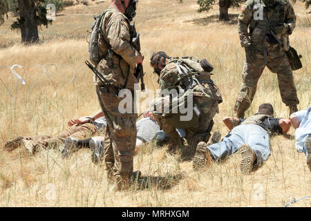 oldiers from the 357th Military Police Company, 200th Military Police Command secure detainees after a simulated gas attack at Fort Hunter Liggett, Calif., June 16, 2017. More than 3000 U.S. Army Reserve soldiers are participating in the 84th Training Command's Warrior Exercise (WAREX) 19-17-03 at Fort Hunter Liggett, Calif.; the WAREX is a large-scale collective training platform to generate capable, lethal and combat ready forces. U.S. Army photo by Capt. Troy Preston. Stock Photo