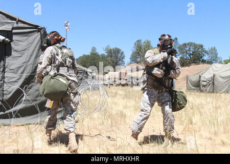 Soldiers from the 357th Military Police Company, 200th Military Police Command react to a simulated gas attack at Fort Hunter Liggett, Calif., June 16, 2017. More than 3000 U.S. Army Reserve soldiers are participating in the 84th Training Command's Warrior Exercise (WAREX) 19-17-03 at Fort Hunter Liggett, Calif.; the WAREX is a large-scale collective training platform to generate capable, lethal and combat ready forces. U.S. Army photo by Capt. Patrick Cook. Stock Photo