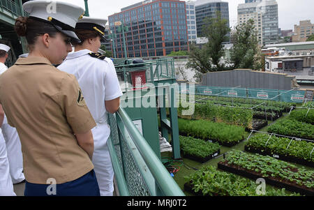 170619-N-ZU404-090 BOSTON (June 19, 2017) Sailors, Marines, Coast Guardsman, and Naval Academy midshipmen view the garden at Fenway Park, also known as Fenway Farms, during a tour of the historic ballpark, June 19. USS Whidbey Island (LSD 41) and more than 50 Tall Ships from around the world are participating in Sail Boston 2017, a five-day maritime festival in the Boston Harbor. The event gives Bostonians an opportunity to see firsthand the latest capabilities of today’s sea services, as well as experience maritime history – both past and present. (U.S. Navy photo by Mass Communication Specia