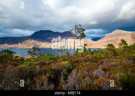 A beautiful panorama of wild Loch Maree in the Highlands of Scotland. The distant peaks are those of the Slioch Range. Viewed from Ben Eighe. Stock Photo