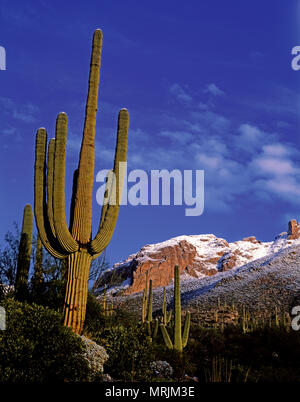 santa catalina mountains, Tucson, AZ Stock Photo