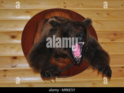 fierce bear with a terrible open mouth in the form of a scarecrow on a log wall Stock Photo