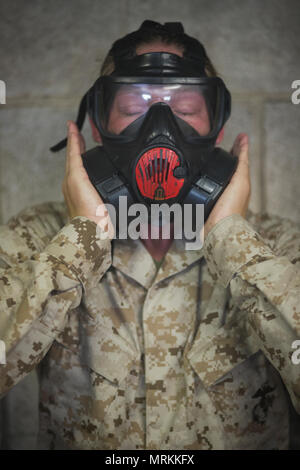 Chemical Biological Radiological and Nuclear defense training is a required component of United States Marine Corps recruit instruction conducted at Marine Corps Recruit Depot Parris Island, South Carolina. The archival image documents a recruit from Papa Company, 4th Battalion, clearing a gas mask during practical application on June 20, 2017, demonstrating protective procedures against chemical exposure. Stock Photo