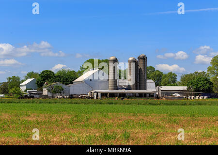 Ronks, PA, USA - May 23, 2018: A large and sprawling farm with barns and silos is in Lancaster County. Stock Photo