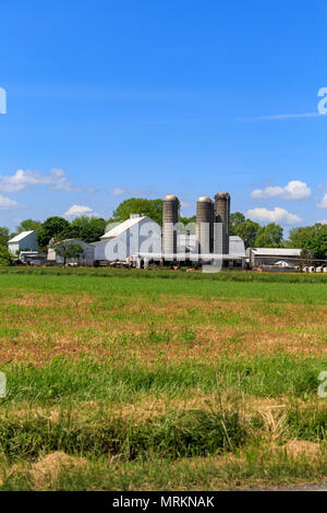 Ronks, PA, USA - May 23, 2018: A large and sprawling farm with barns and silos is in Lancaster County. Stock Photo