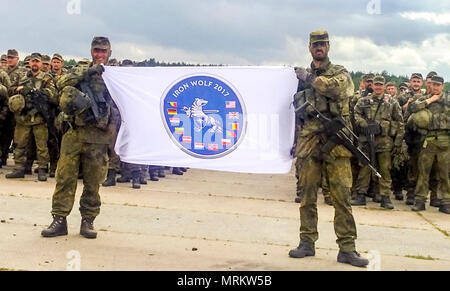 Battle Group Lithuania and the Iron Wolf Brigade soldiers stand in ...