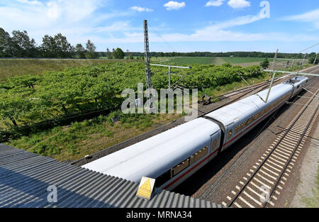 24 May 2018, Germany, Eschede: An Inter City Express (ICE) train passes the memorial site for the 1998 Eschede ICE derailment, where 101 cherry trees have been planted (C). On 3 June 1998, the ICE 884 'Wilhelm Conrad Roentgen' derailed on the Hannover-Hamburg route near the village of Eschede. 101 people died. Photo: Holger Hollemann/dpa Stock Photo