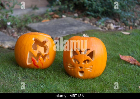 Halloween Pumpkins out on the lawn before a house cut into a bloody grimace and a cat's face Stock Photo