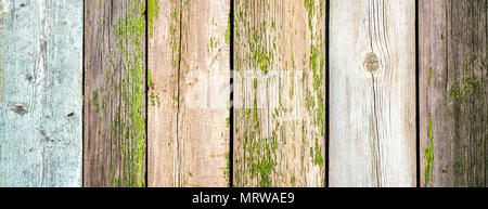 old wood fence board painted texture vintage background  with knots  Stock Photo