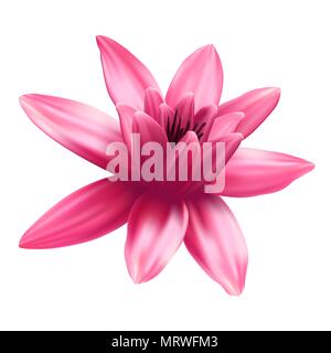 Lotus flower isolated on white background. Stock Vector