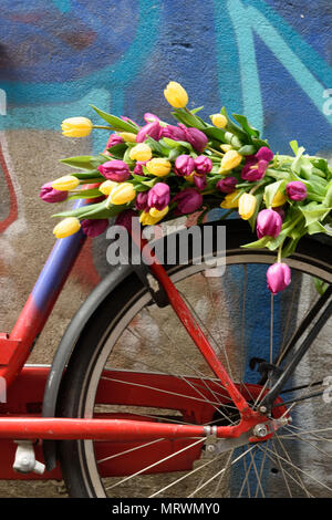 Red bicycle with tulips on the back leaning on the wall in an alleyway in Amsterdam Stock Photo