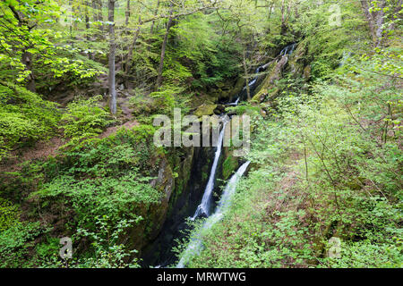 Waterfall at Stock Ghyll Force near Ambleside in the Lake District Stock Photo