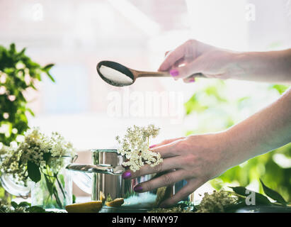 Elder flower syrup  cooking. Female hand pouring sugar from spoon in pot with Elderflowers on kitchen table at window. Home lifestyle Stock Photo