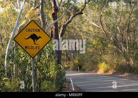 A caution wildlife warning sign in Ku-Ring-Gai Chase National Park on the road to Bobbin Head in Sydney NSW, Australia Stock Photo