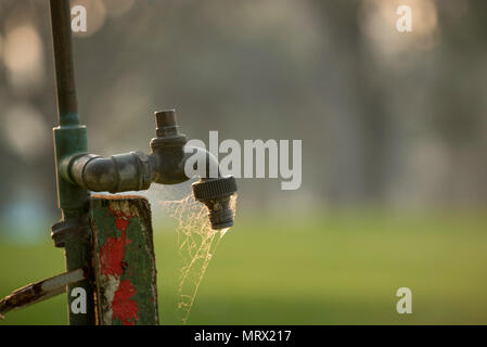 An outside tap or faucet attached to a wooden post and covered in a spider's web Stock Photo