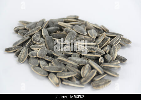 Sun flower seeds on a white background Stock Photo