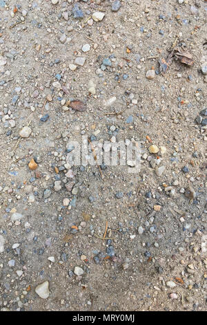 Texture of dry soil ground with stones close-up Stock Photo