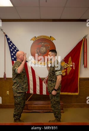 U.S. Marines, family and friends gather for Maj. Gen. Robert F. Castellvi's promotion ceremony on Camp Lejeune, N.C., 11 July, 2017. Castellvi was promoted from Brigadier General to Major General by Maj. Gen. Walter L. Miller. (U.S. Marine Corps photo by Lance Cpl. Taylor N. Cooper) Stock Photo