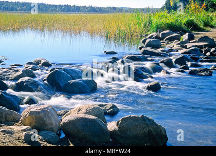 The headwaters of the Mississippi River flows from Lake Itaska in Itaska State Park in northern Minnesota. Stock Photo